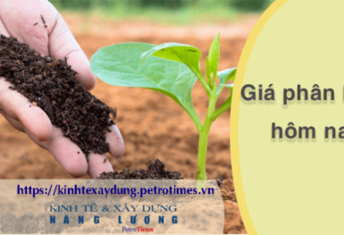 Giá phân bón hôm nay 6/4: DAP Nga xanh/đen giao dịch chậm