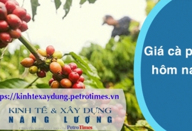 Giá cà phê hôm nay 7/4: Trong nước tiếp tục giảm nhẹ