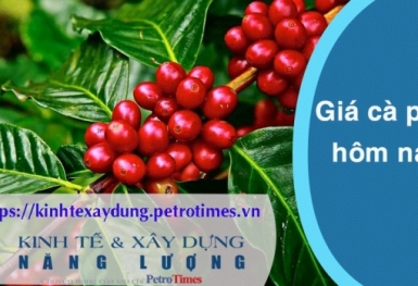 Giá cà phê hôm nay 8/4: Tăng trở lại, vượt mốc 103.000 đồng