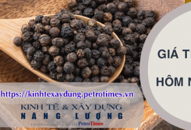 Giá tiêu hôm nay 8/4: Tăng nhẹ tại Gia Lai, giảm tại Đắk Nông