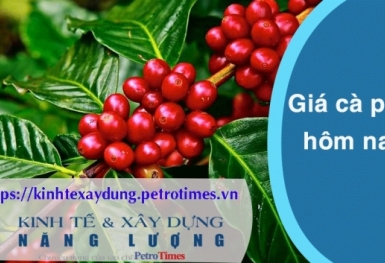 Giá cà phê hôm nay 10/4: Cán mốc 105.000 đồng