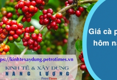 Giá cà phê hôm nay 11/4: Trong nước áp sát mốc 106.000 đồng