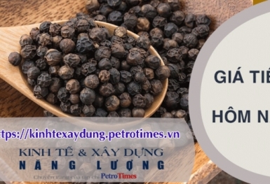 Giá tiêu hôm nay 11/4: Tiếp tục giảm mạnh