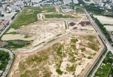 Căn cứ để giao đất, cho thuê đất theo Luật Đất đai 2024