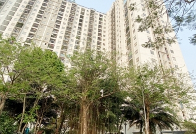 Chính phủ yêu cầu tập trung hoàn thành các quy hoạch còn lại trong quý II/2024