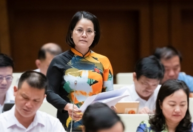 Đề nghị làm rõ trách nhiệm để tình trạng trốn đóng, nợ đóng bảo hiểm xã hội kéo dài