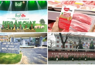Doanh nghiệp chăn nuôi heo được mùa bội thu, chỉ có một đơn vị 'tiếc nuối'