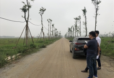 Khi 'cò' đất trở thành 'cuội' đất