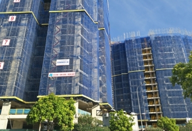 Gia hạn thời hạn nộp thuế và tiền thuê đất năm 2024