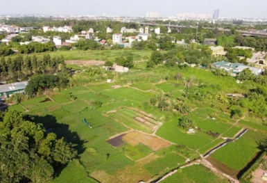 Các trường hợp sử dụng đất có vi phạm được xét cấp sổ đỏ khi Luật Đất đai 2024 có hiệu lực