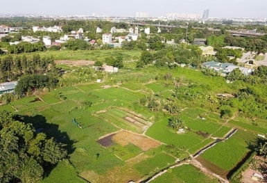 Có được tự do chuyển đất nông nghiệp sang đất phi nông nghiệp?