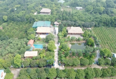 Thẩm quyền giao đất được quy định như thế nào theo Luật Đất đai 2024?