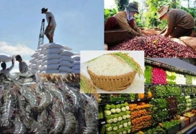 Sau 4 năm có hiệu lực, EVFTA tiếp tục thúc đẩy xuất khẩu của Việt Nam sang EU