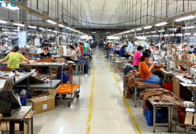 May Thanh Trì (TTG) bị phạt vì công bố thông tin không đầy đủ