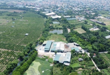 Chậm nộp tiền sử dụng đất bao lâu sẽ bị thu hồi?
