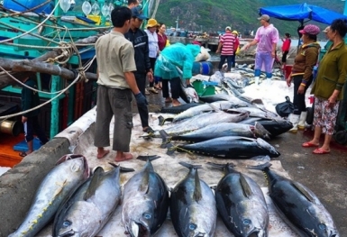 Xuất khẩu thủy sản Việt Nam quay trở lại quỹ đạo