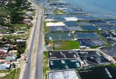 Đề xuất đầu tư hơn 5.400 tỷ đồng làm đường ven biển tại Khu kinh tế Vân Phong
