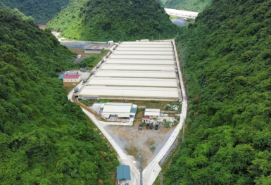 Trang trại lợn của Công ty Dabaco Thanh Hóa xả thải vượt quy chuẩn, bị phạt hơn 200 triệu đồng