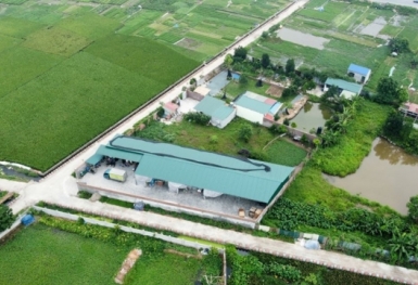 Chuyển đất nông nghiệp sang đất ở phải đáp ứng điều kiện gì?