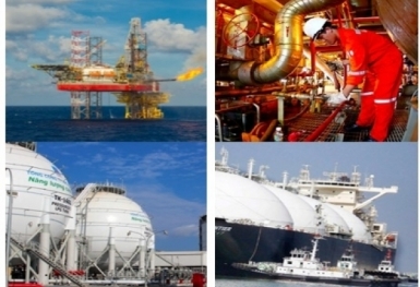 Petrovietnam là doanh nghiệp nộp ngân sách lớn nhất Việt Nam