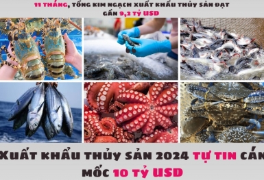 Xuất khẩu thủy sản 2024 tự tin cán mốc 10 tỷ USD