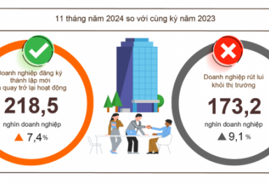 Bình quân mỗi tháng có 15,7 nghìn doanh nghiệp rút khỏi thị trường trong 2024