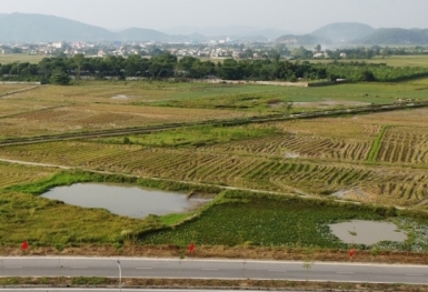 Thanh Hóa: Chấp thuận nhà đầu tư thực hiện dự án khu dân cư 105 tỷ đồng