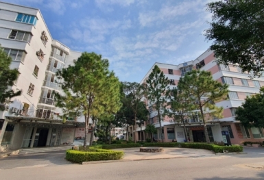 Các địa phương tích cực phát triển nhà ở xã hội