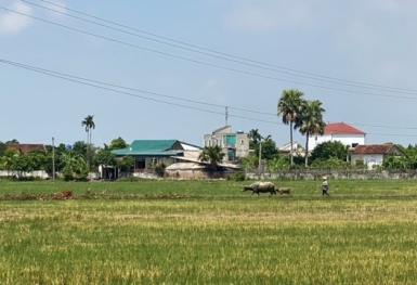 Từ ngày 1/1/2025, bãi bỏ 05 văn bản liên quan việc cấp “sổ đỏ”