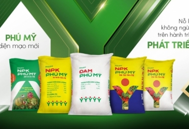 Phân bón và Hóa chất Dầu khí PVFCCo công bố quyết định bổ nhiệm Phó Tổng Giám đốc