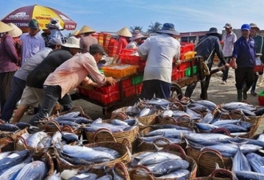 Xuất khẩu thủy sản năm 2025: Cơ hội và thách thức