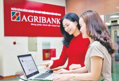 Điểm tin ngân hàng ngày 3/1: Agribank báo lãi trước thuế hơn 27.500 tỷ đồng trong năm 2024