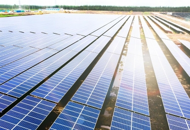 BCG Energy (BGE) bất ngờ chuyển lãi thành lỗ sau kiểm toán