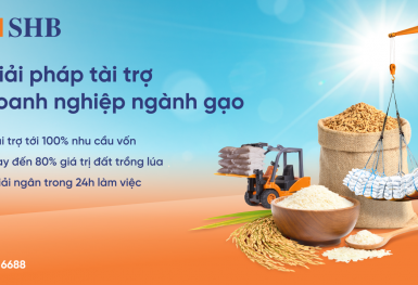 SHB ra mắt giải pháp tài trợ linh hoạt cho ngành gạo, đồng hành cùng Chính phủ phát triển nông nghiệp bền vững