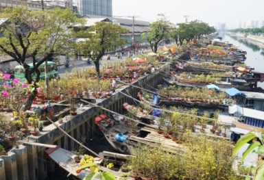 Ngắm chợ hoa “Trên bến dưới thuyền” giữa Sài Gòn