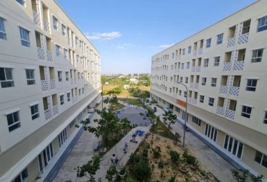 HoREA đề xuất chính sách nhà ở đặc thù cho công chức, viên chức