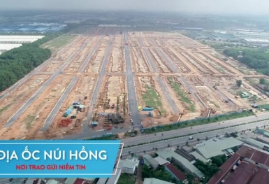 Bình Dương: Hàng chục dự án “bán lúa non”, tại sao chỉ phạt 1 trường hợp?