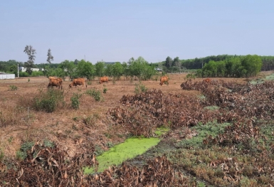 Sau khi bị tố lừa đảo, Công ty Thời Đại Land mời khách hàng lên làm việc