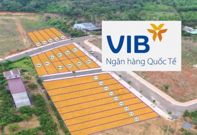 Bà Rịa - Vũng Tàu: Cò đất lợi dụng Ngân hàng Quốc tế để bán 'dự án ma' kiểu Alibaba