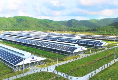 Tổ hợp trang trại tại Lào của Vinamilk đẩy nhanh tiến độ hoàn thành giai đoạn 1