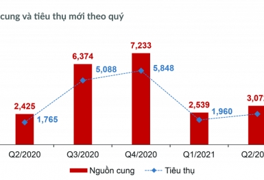 Bất động sản TP.HCM và các tỉnh phụ cận 6 tháng cuối năm 2021