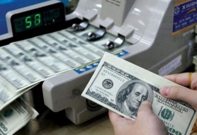 Tỷ giá ngoại tệ hôm nay ngày 12/8: USD giảm giá, Euro cũng trầm lắng