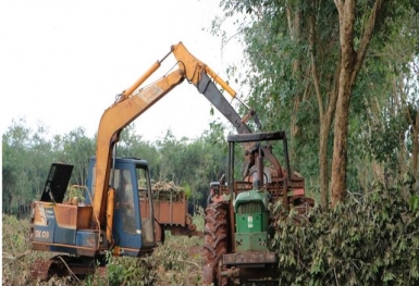 Đồng Nai bàn giao 1.800 ha đất làm sân bay Long Thành ngay trong tháng này