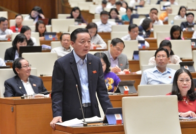 Bộ trưởng Tài nguyên & Môi trường nói gì về dự án lấn biển Cần Giờ?