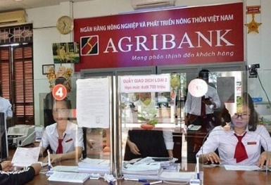 Agribank: Nợ nguy cơ mất vốn tăng mạnh