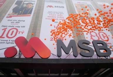 MSB không chia cổ tức, nợ xấu vẫn là vấn đề đau đầu