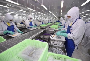 Ngân hàng cắt giảm lương, không chia cổ tức bằng tiền mặt