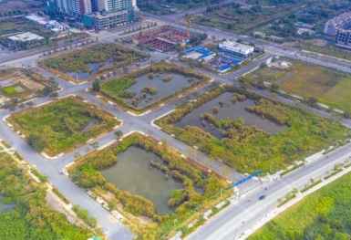 Tập đoàn Tân Hoàng Minh thông tin chính thức về việc xin tự nguyện đơn phương chấm dứt hợp đồng mua bán đấu giá lô đất tại Thủ Thiêm