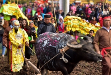 Vị vua nào ở nước ta đi cày trúng hũ vàng đầu năm mới?