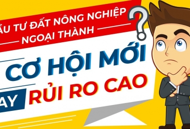 Đầu tư đất nông nghiệp: Lợi nhuận thấp, rủi ro cao?